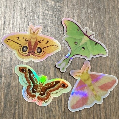 Magnificent Moth Stickers - Holographic Waterproof Vinyl