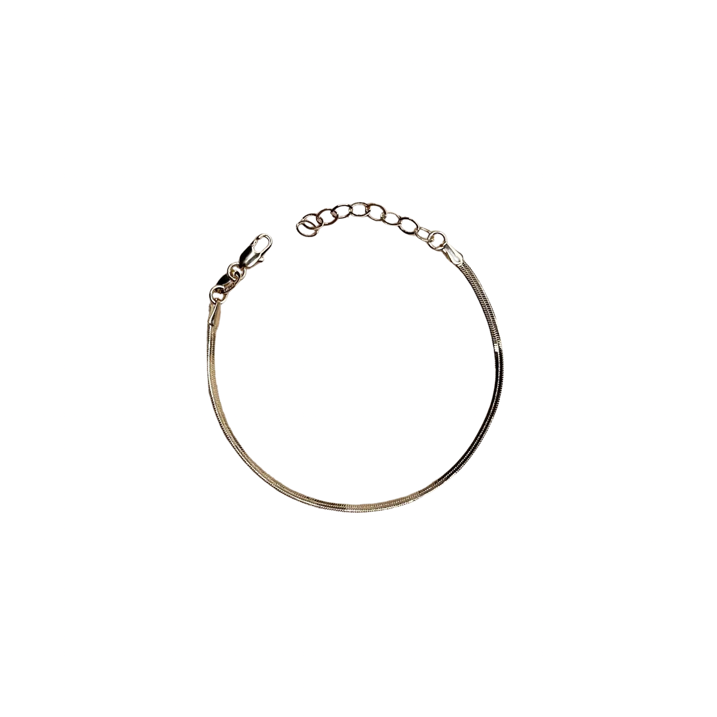 Snake Chain Bracelet