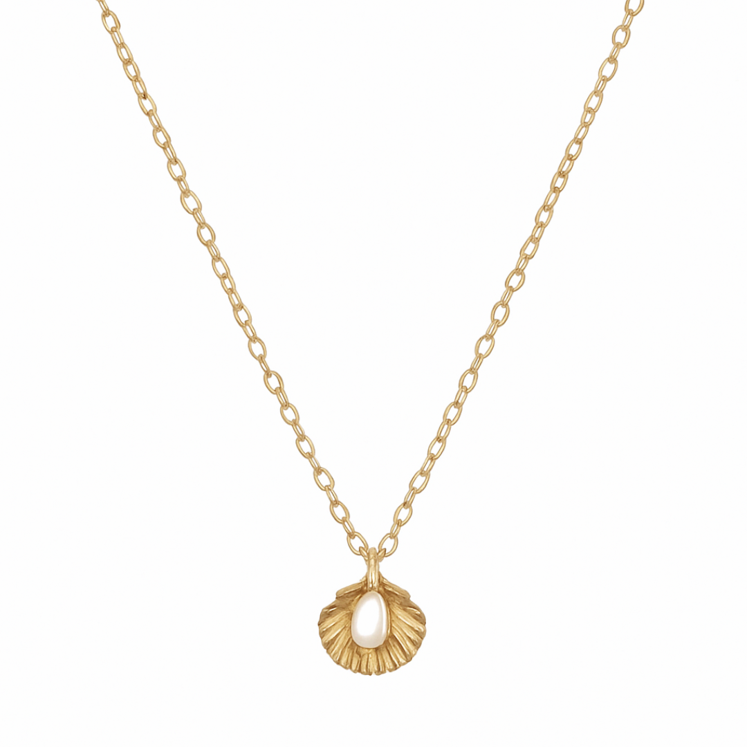 Shell Necklace