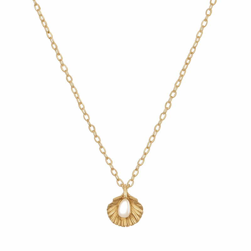 Shell Necklace