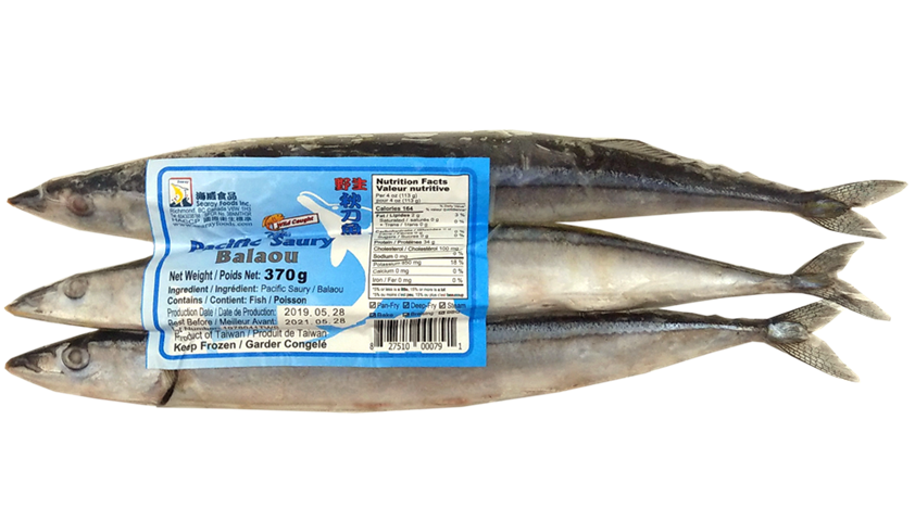 Pacific Saury 10kg