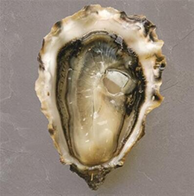 Oyster Fanny Bay 5Dozen