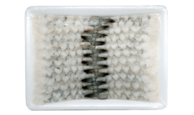 Shrimp White Nobashi ( Stretched )