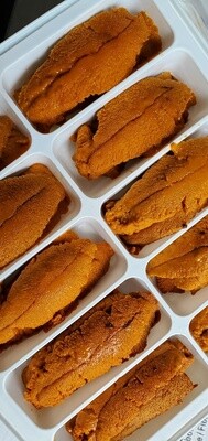 Urchin Red Sea BC Uni