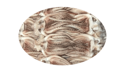 Squid Tentacles Illex