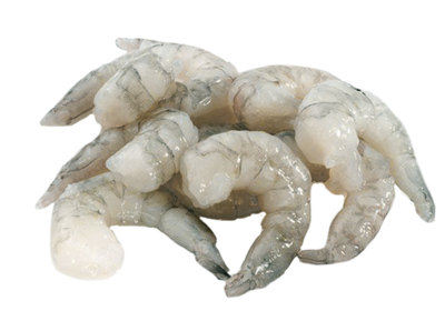 Shrimp Meat White 24lb