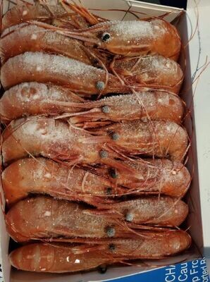 Prawn Spot 1kg