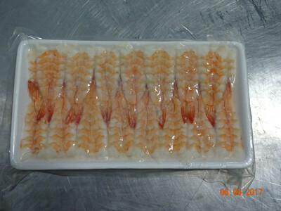 Sushi Ebi - 4L Medium ( Butterfly Style )