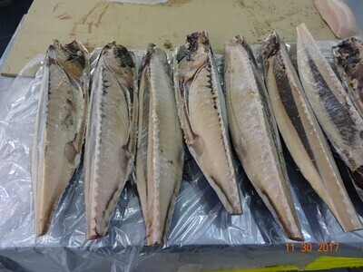 Albacore Tuna Quartered 15UP TAIWAN 50lb