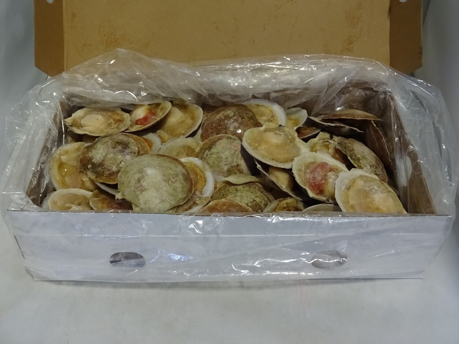 HALF SHELL SCALLOP 12-14cm 4/3lb 12LBS / CS