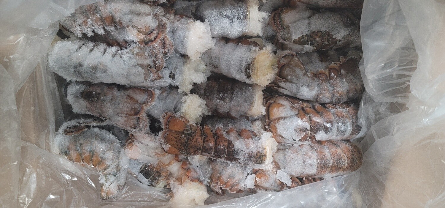 Lobster Tail 4oz  10lb