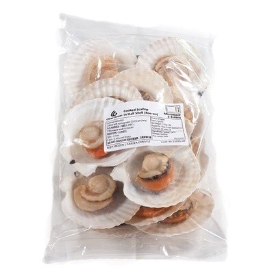 HALF SHELL SCALLOP 8-9cm 20/340g 6.8kg / CS