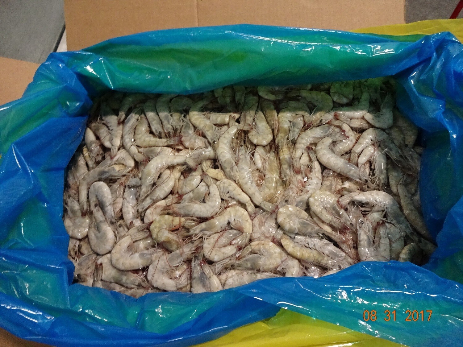 Shrimp White Raw Head-On 50/60 2 x 10kg 20kg