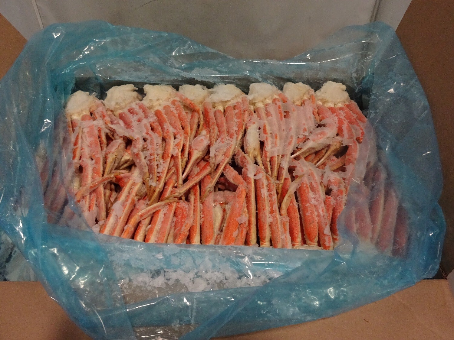 Snow Crab Sections 5-8 33LB/CS CA Ocean Leader