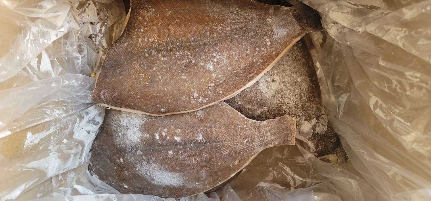 Patrale Sole Trimmed 10lb