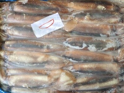 Squid Whole 200g ~ 300g 13.5kg Argentina