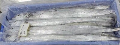 Cutlassfish Whole ( Hairtail ) 10kg