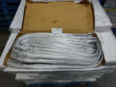 Cutlassfish Whole ( Hairtail ) 5/700, 7/900, 10kg