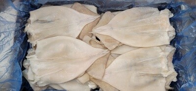 Squid Fillets 400/600g Illex 8kg