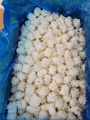 Squid Pineapple 10kg
