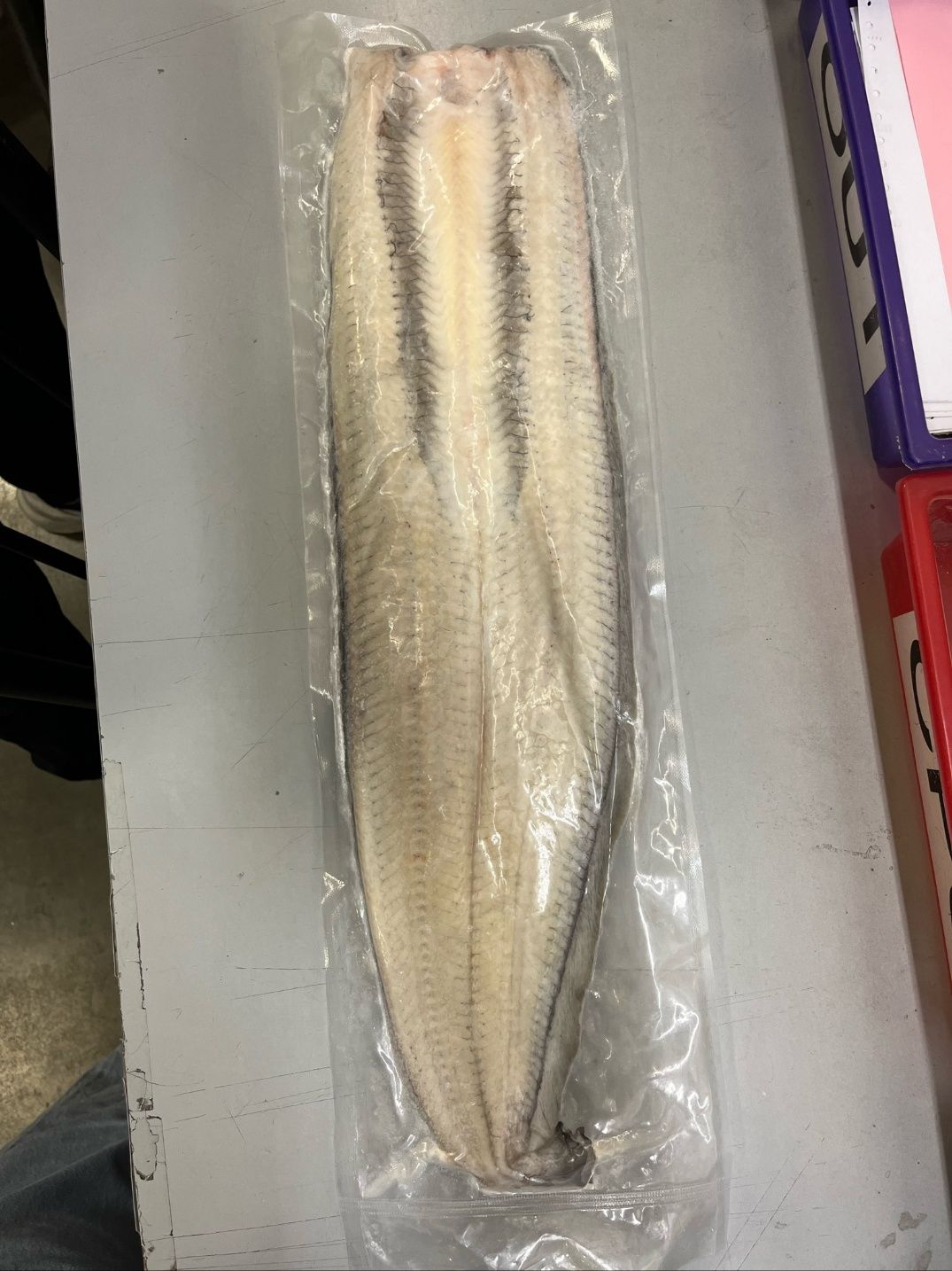 Eel Cut Cleaned 800/1kg, 10kg