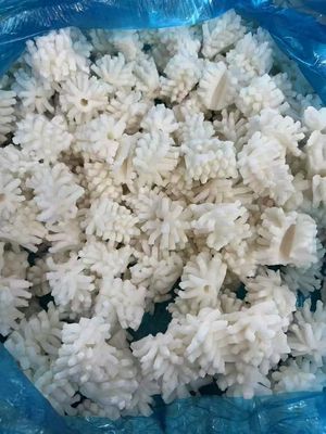 Squid Pineapple 10kg