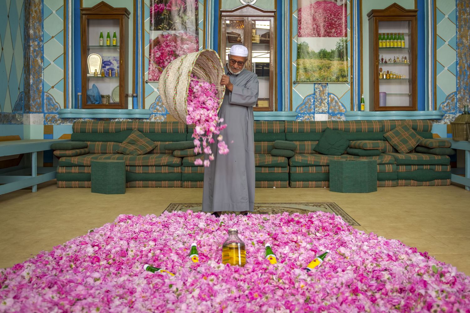 Al Taif Trip Al Taif Trip