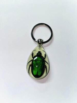Insect Keychains