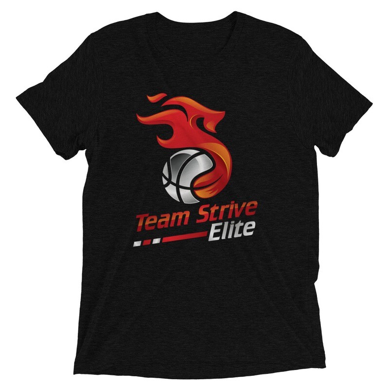 Men's Triblend Tee