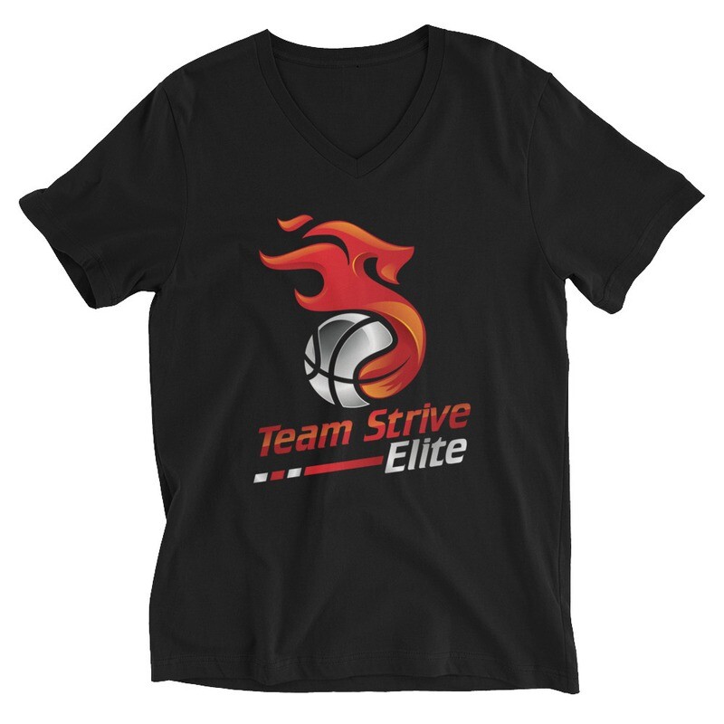 Unisex V-Neck Tee