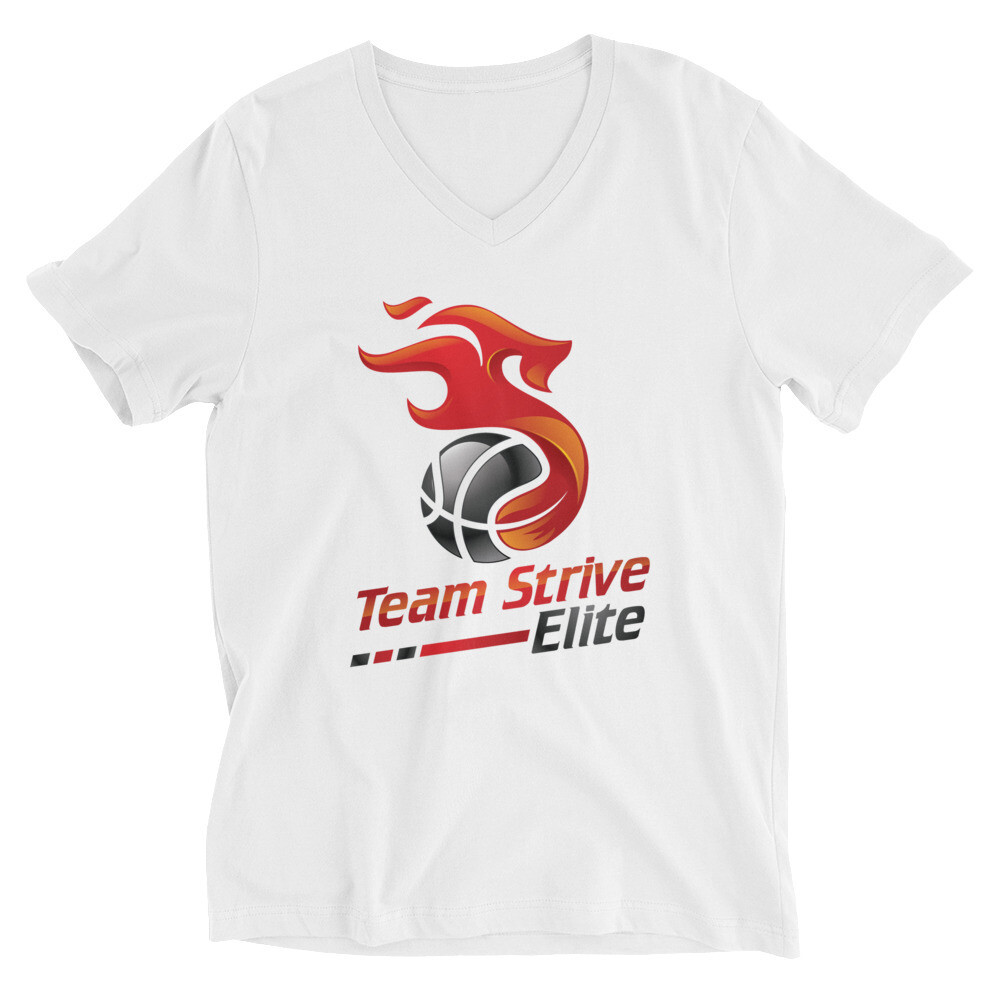 Unisex V-Neck Tee