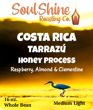 Costa Rica Tarrazú Honey Process