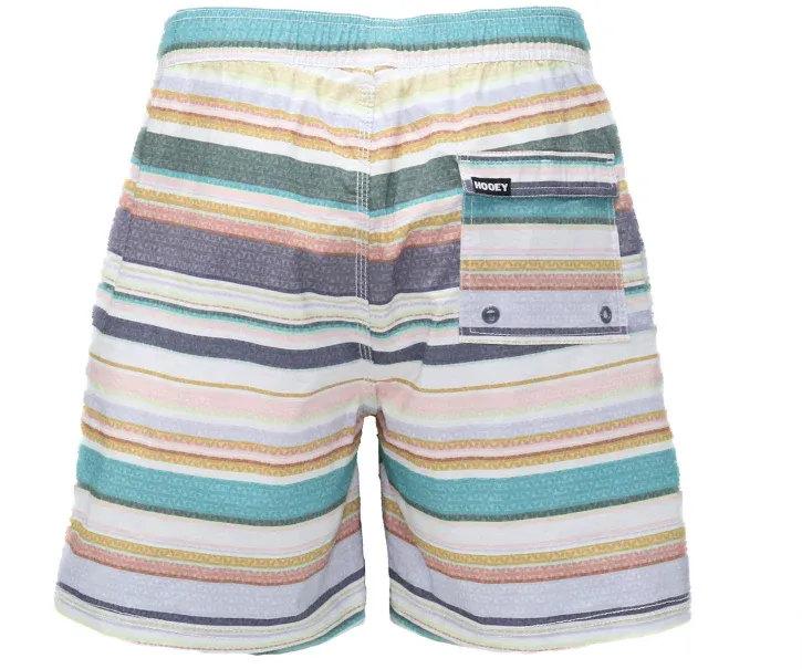 Hooey Big Wake Men's Multi Stripe Volley Boardshort