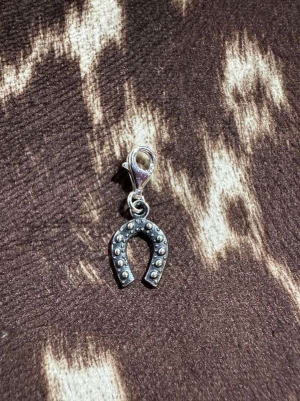 HORSESHOE CHARM
