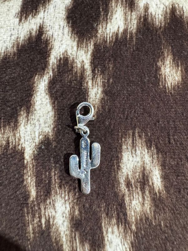 CACTUS CHARM
