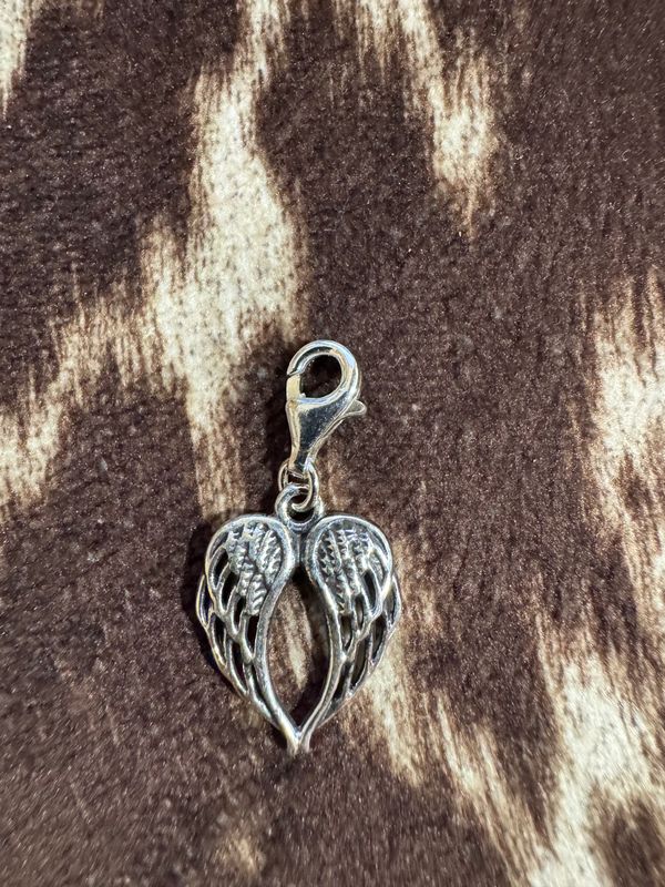 ANGEL WINGS CHARM