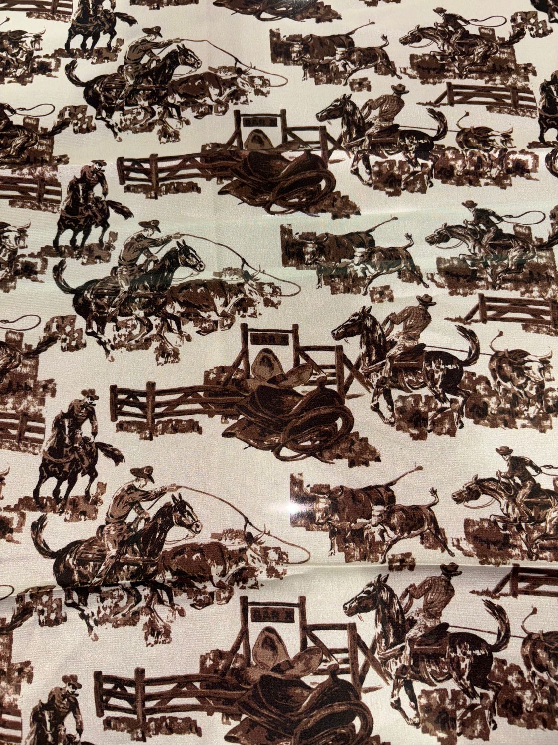Cinch Western Scene Wild Rag
