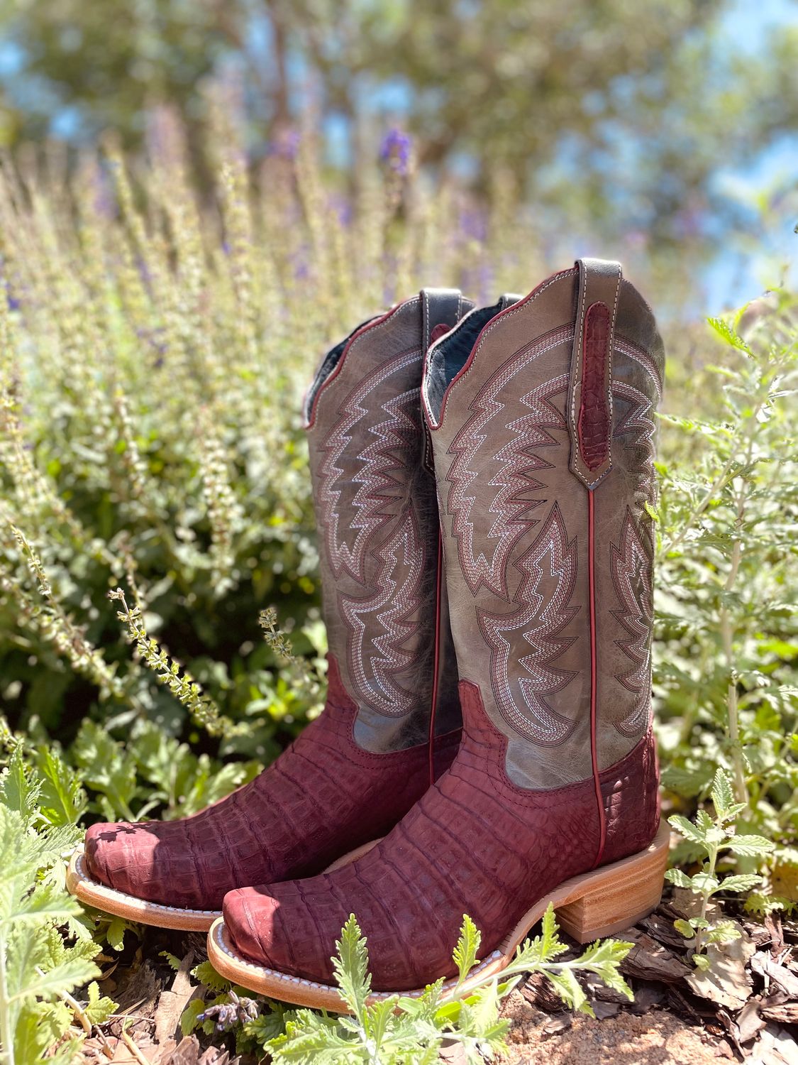 R. Watson Rhubarb Caiman Rough Out Boot