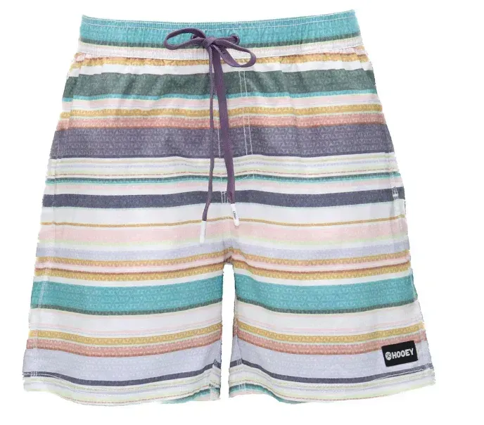 Hooey Big Wake Men's Multi Stripe Volley Boardshort