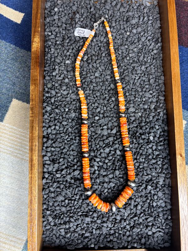 Spiny Grad Neck
