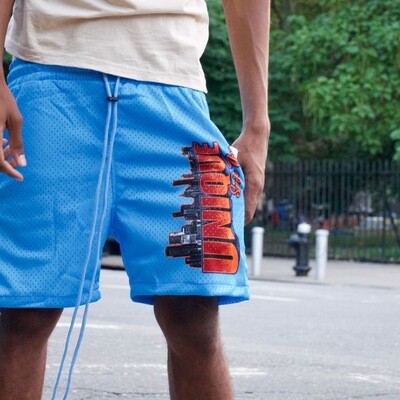Baby blue mesh shorts