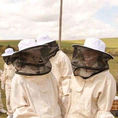 Beekeeping Experience