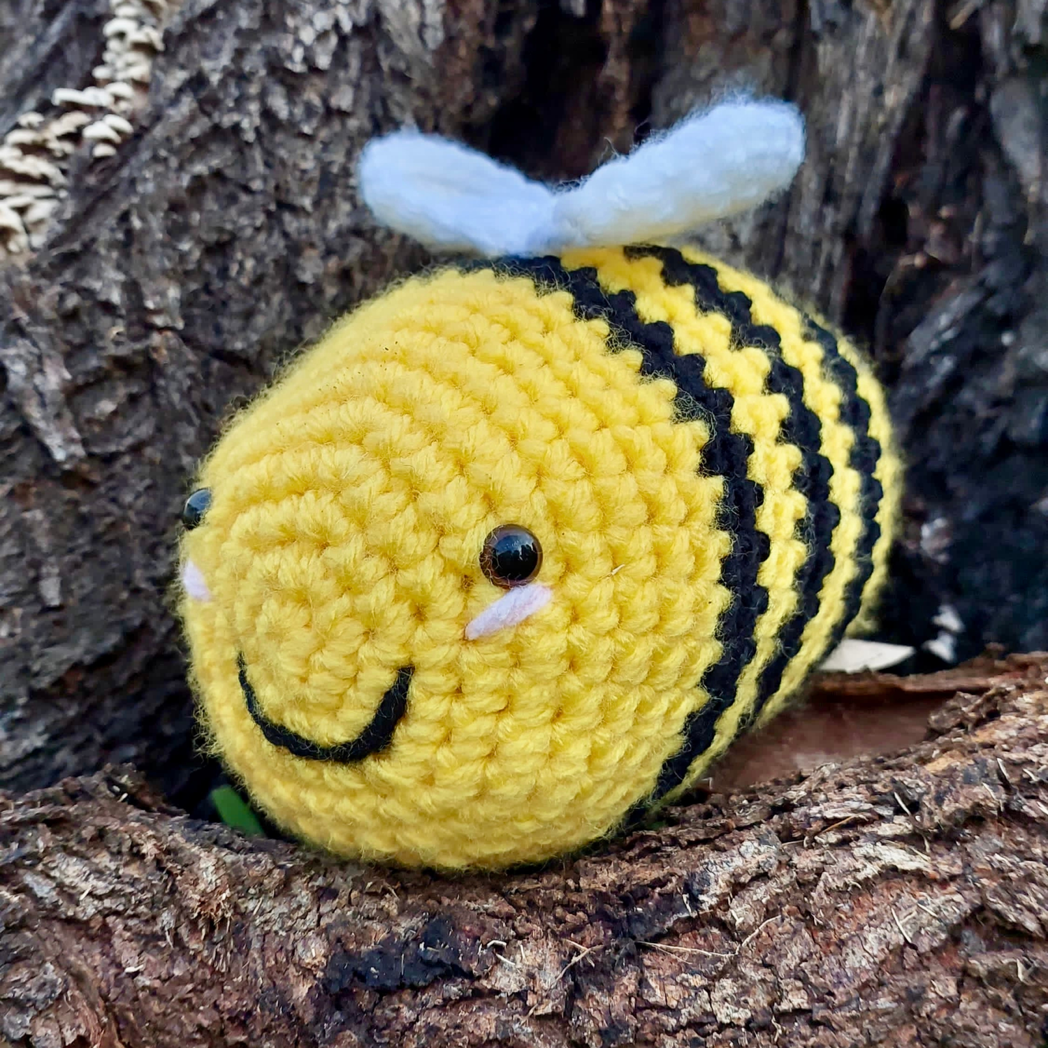 Buzz The Cape Honeybee