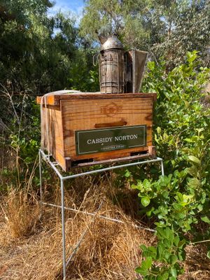 Adopt A Hive