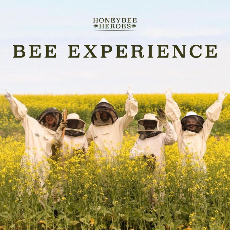 Bee Experience Ticket Bee Experience Ticket