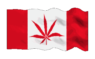 CANADIAN TRACKED SHIPPING