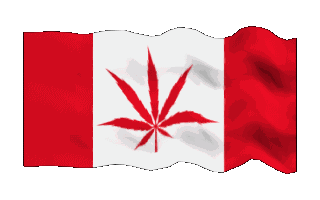 CANADIAN TRACKED SHIPPING