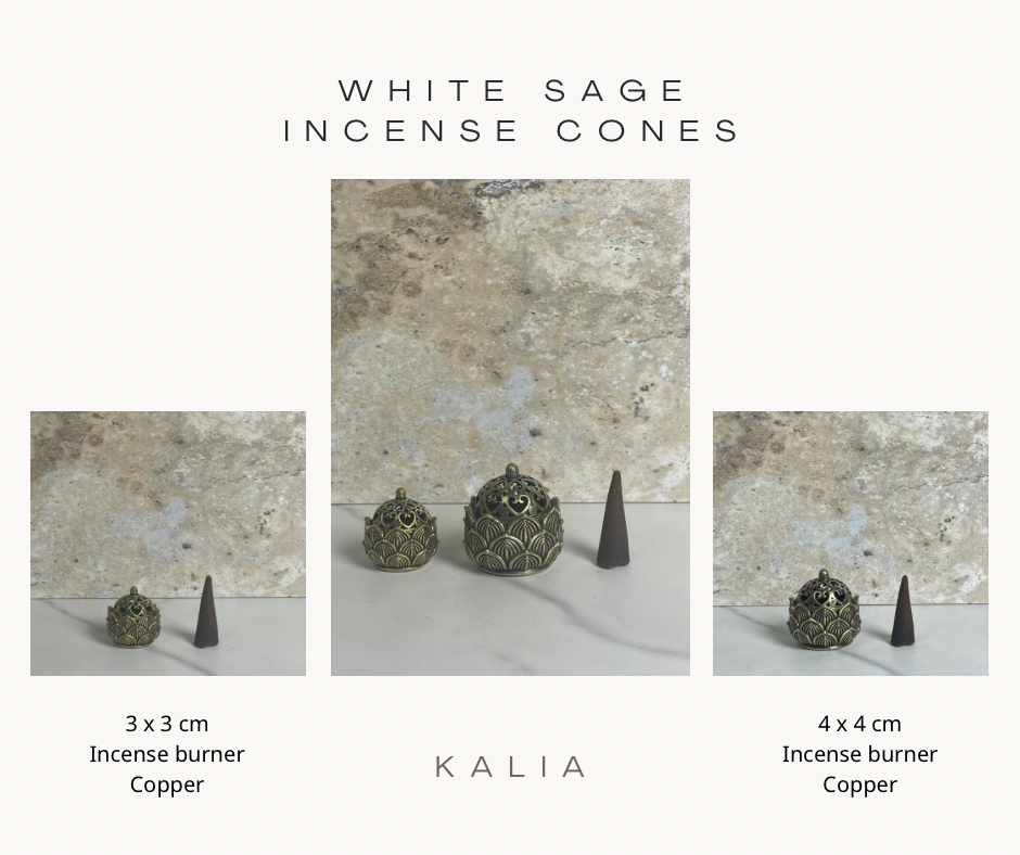 #00379-White sage cones+Burner 4x4cm