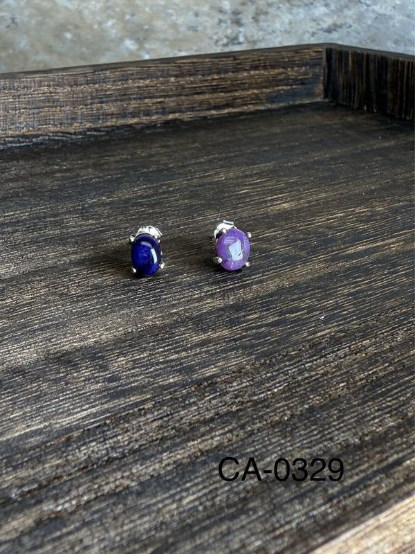 CA-0329 舒俱萊耳環