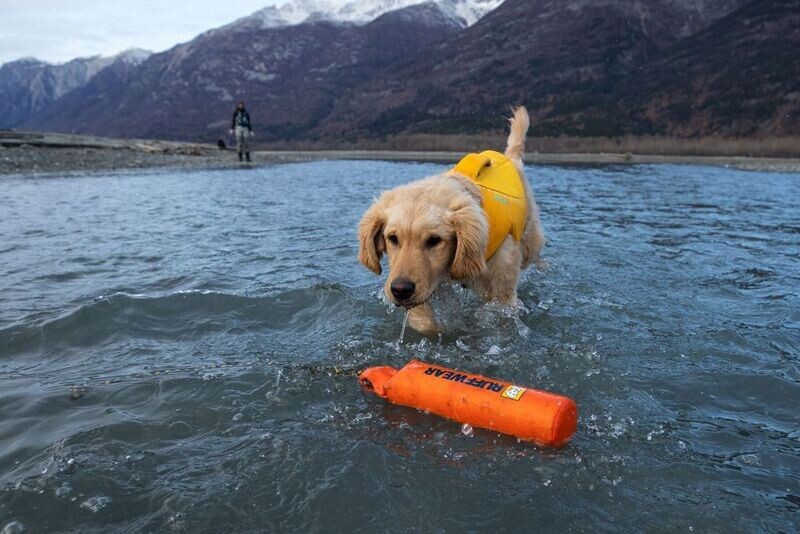 Ruffwear  Lunker - schwimmendes Wurfspielzeug